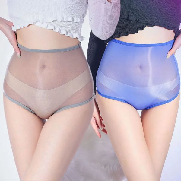 Sheer Lingerie for Women - Translucent Mesh Panties with Shiny Finish, Ultra-Thin Stretchy High-Waisted Briefs